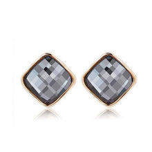 Load image into Gallery viewer, Elegant Long Earring