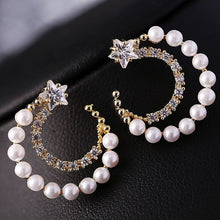 Load image into Gallery viewer, Elegant Long Earring